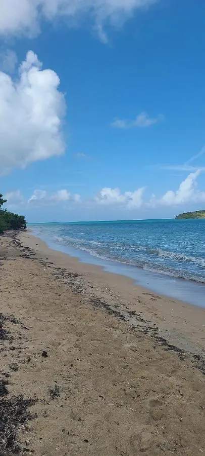 Apartament Breezy Nights St. Croix Christiansted Wyspy Dziewicze Stanów Zjednoczonych